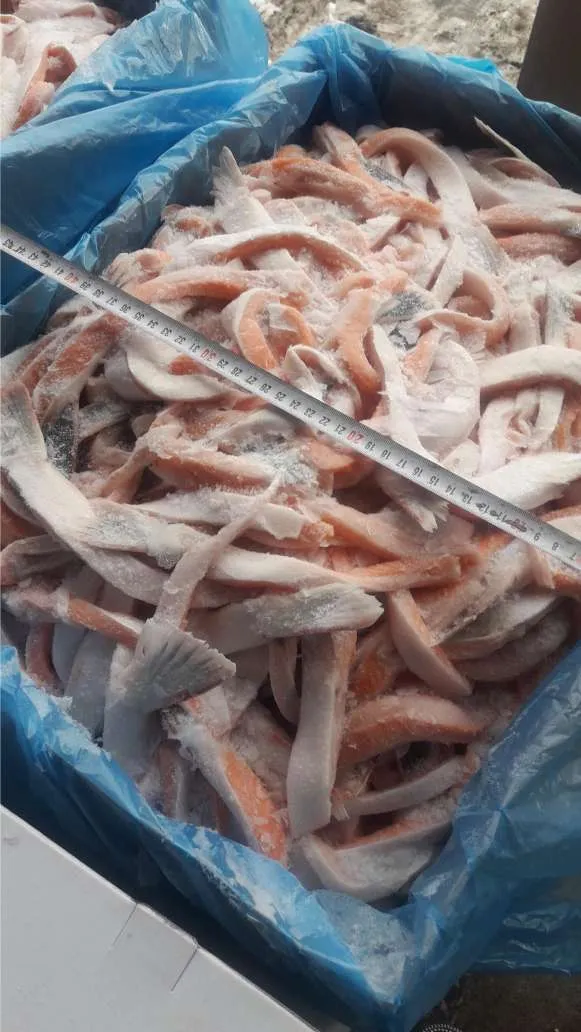 брюшки лосося 1-3 20 кг.  (4х5) в Коломне