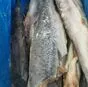 горбуша пбг, производ, рыбные продукты  в Наро-Фоминске 3