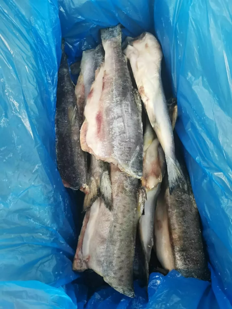 горбуша пбг, производ, рыбные продукты  в Наро-Фоминске