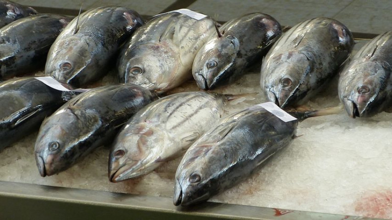 Подмосковным рыбоводам выделили субсидии в размере 3 миллионов рублей