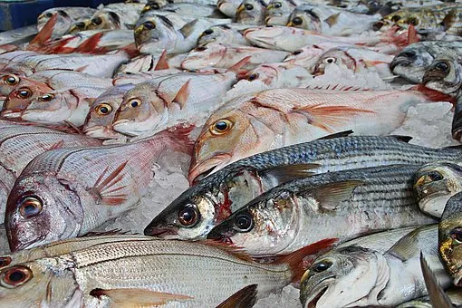 Управление Россельхознадзора выявило фантомное предприятие по производству рыбной продукции в Московской области