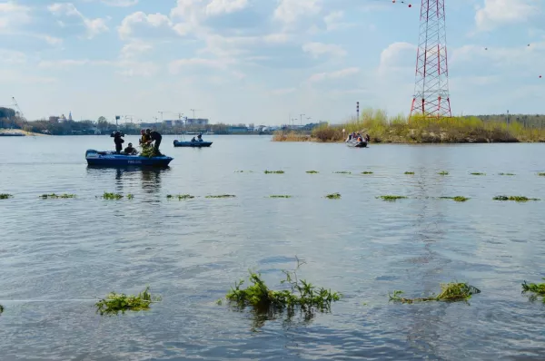 В Московском регионе стартовала экологическая акция Росрыболовства «Все на нерест»