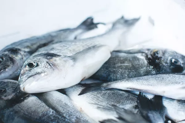 Россельхознадзор выявил нарушения при декларировании рыбной продукции подмосковным предприятием