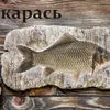 живая рыба Карась в Москве