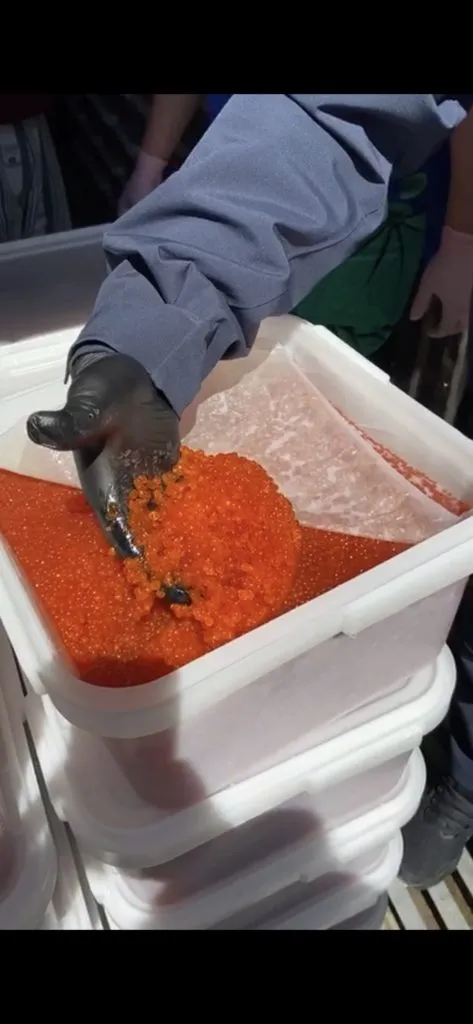 фотография продукта Красная икра (горбуши, кеты) Сахалин 