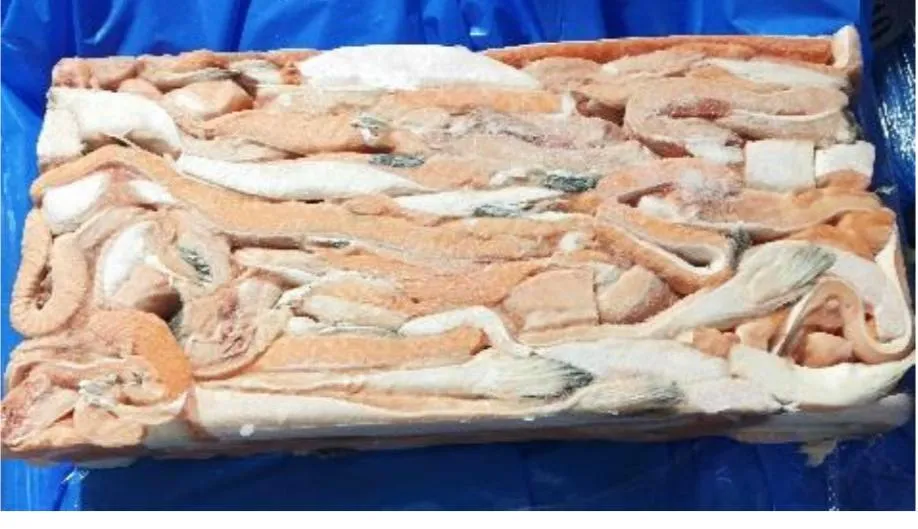 фотография продукта Свежемороженые брюшки лосося 3+