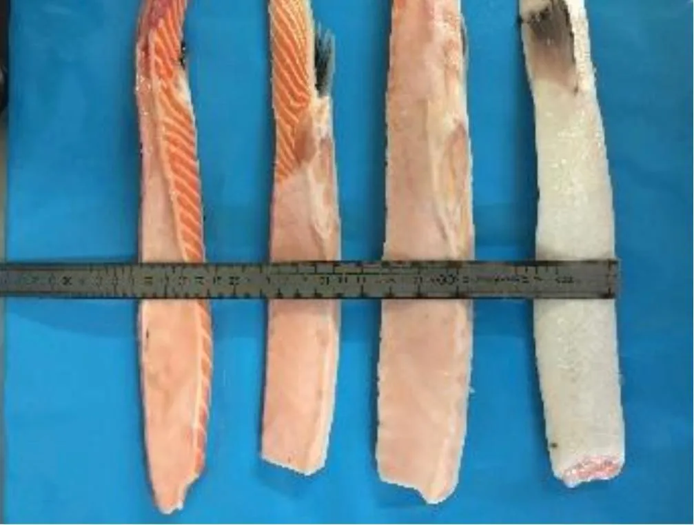 свежемороженые брюшки лосося 3+ в Одинцово 2