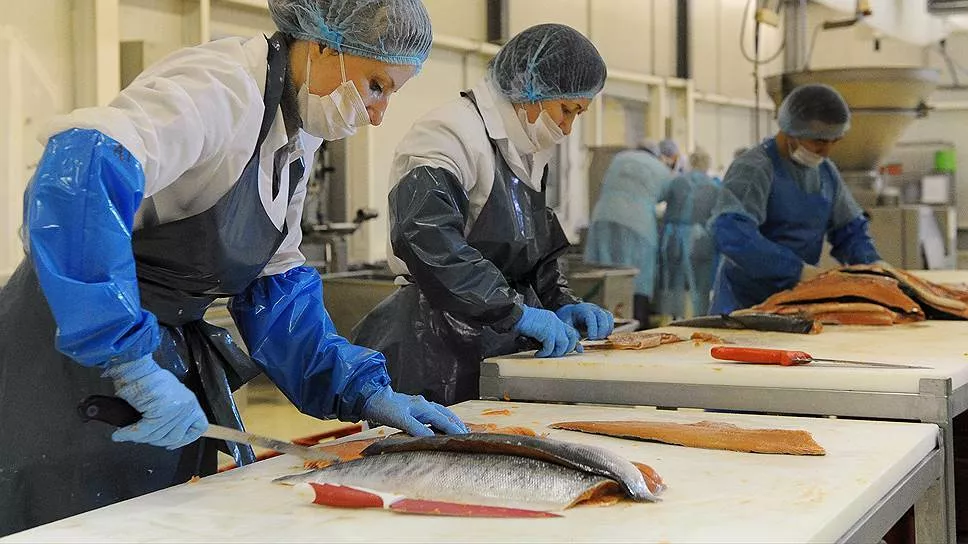 услуги технолога по переработке рыбы в Истре