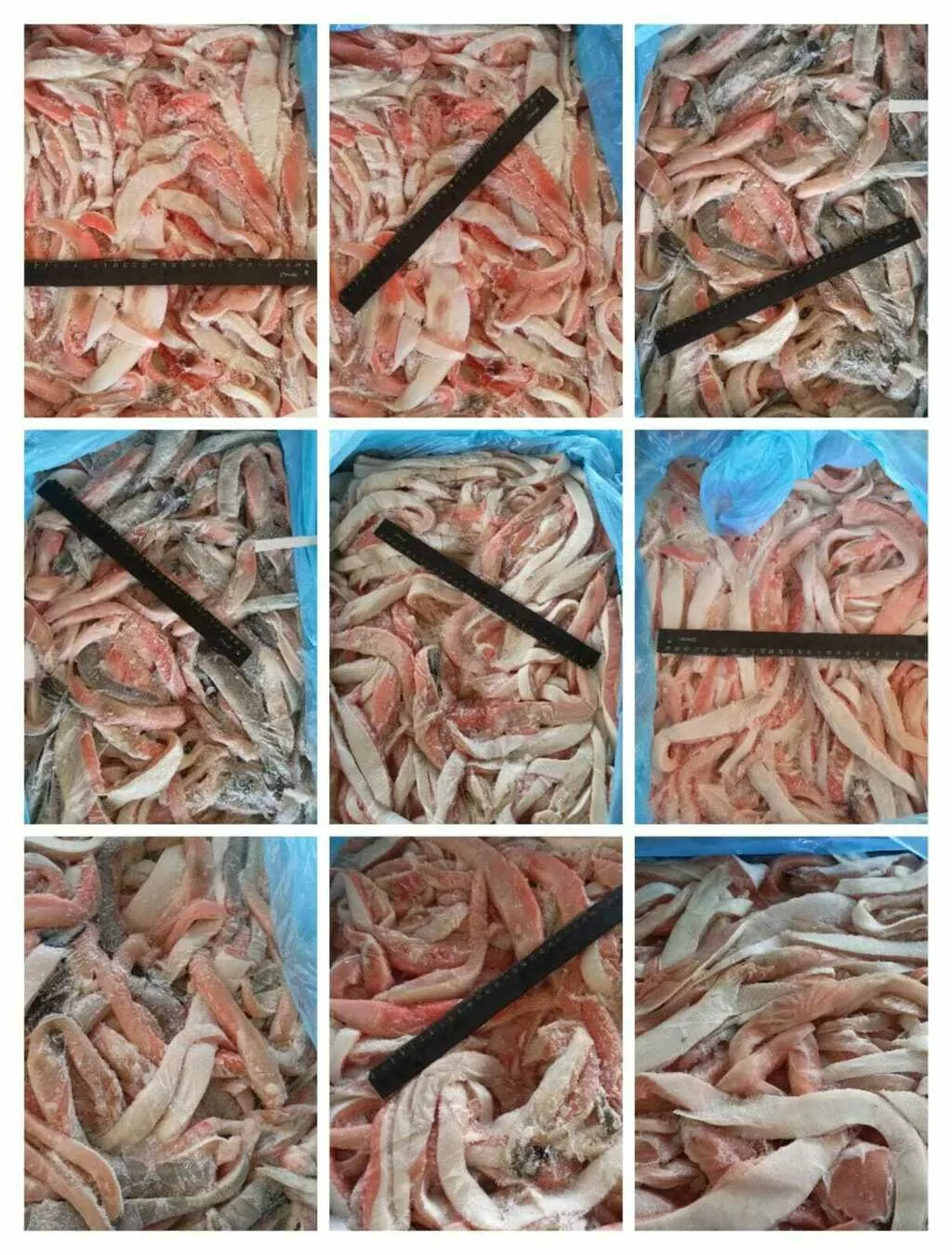 фотография продукта Брюшки лосося свежемороженые 1_4