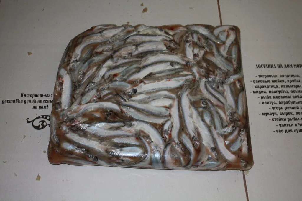 фотография продукта морепродукты и рыба