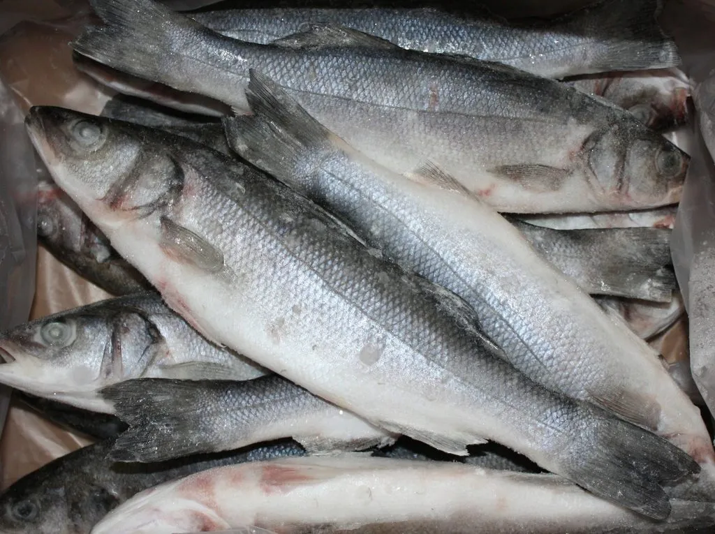 фотография продукта Амаре Ооо морепродукты и рыба